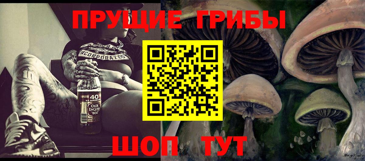 наркота  Псилоцибиновые грибы ЛСД  Павловский Посад  Вход с VPN  Псилоцибиновые грибы Magic Shrooms 